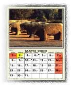 calendario