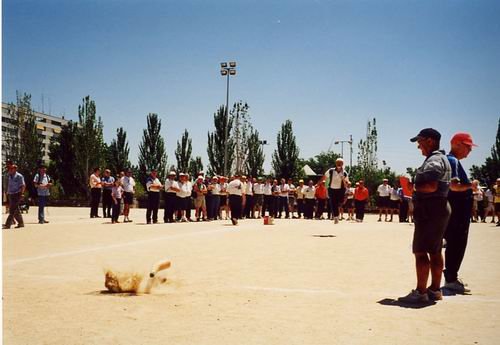 alcorcon_2001_19g