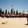 alcorcon_2001_19g