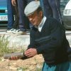 meco_2003_09g