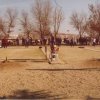 cNavidad2004_campeonato2g