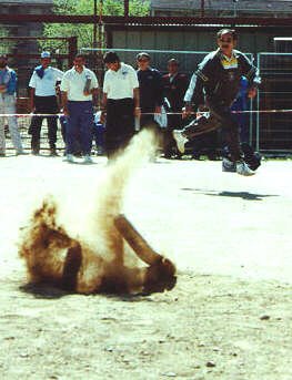 fotos_varias_00g